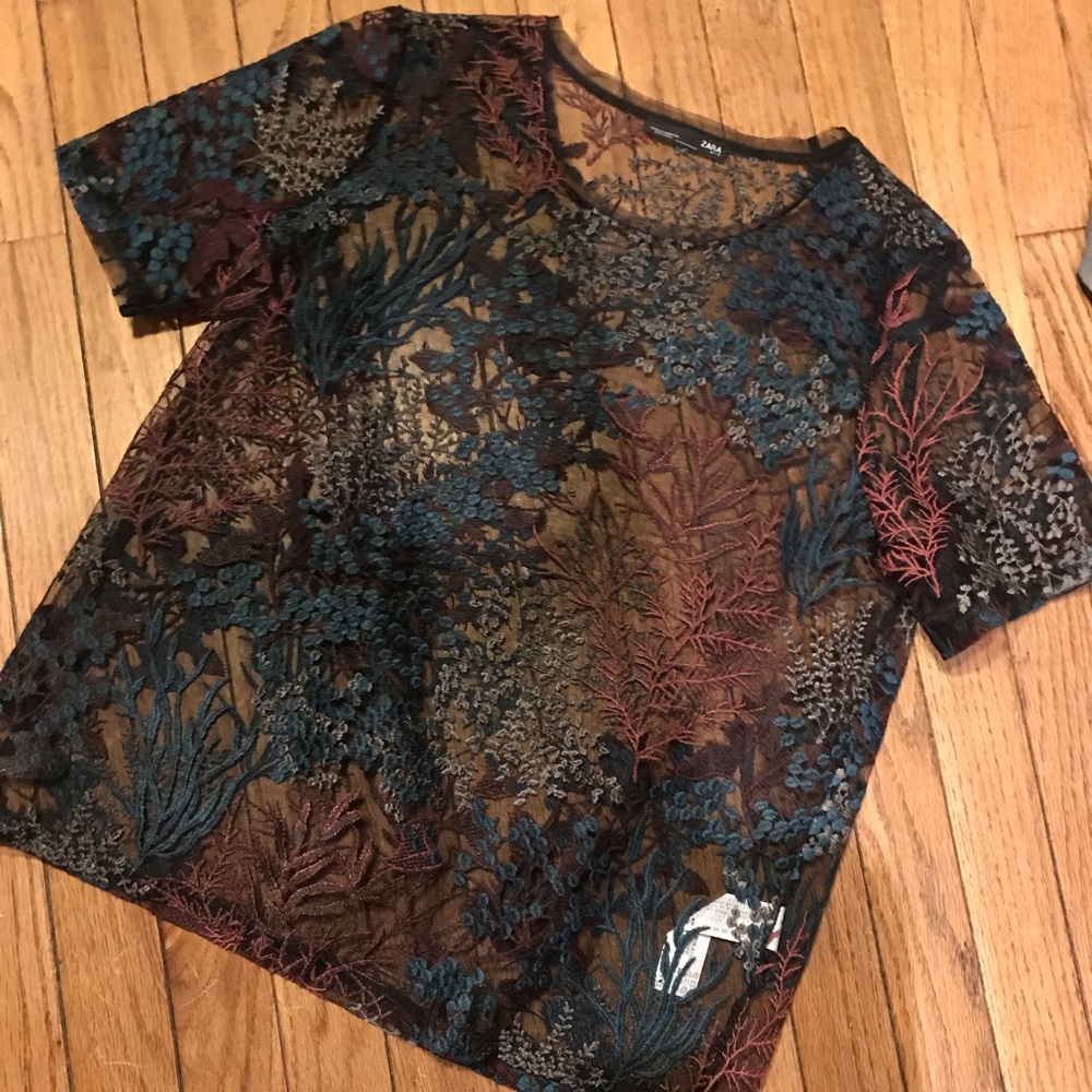 Sale! Sheer Dark Zara Top